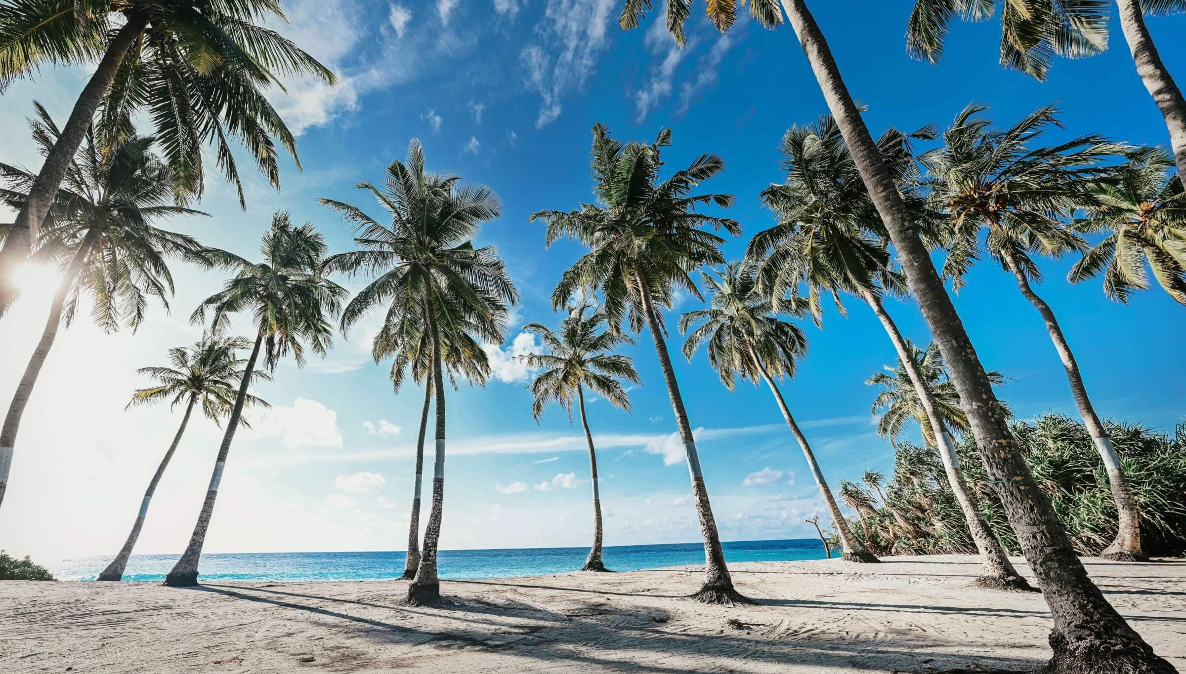 EXPLORE LOCAL ISLAND LIFE